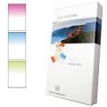 Lee Pale Tint Set